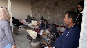 جشنواره زغال‌اخته کلیبر؛ فرصتی برای توسعه تولید و اشتغال