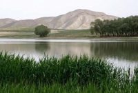 آب انتقالی به تالاب بین‌المللی قوری‌گل کجا می‌رود؟