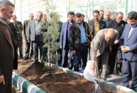 تولید ۲۵ میلیون نهال در آذربایجان‌شرقی/ حفظ منابع طبیعی و محیط زیست، حفظ سرمایه نسل‌هاست