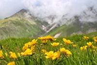 فیلم| طبیعت زیبای قوشاداغ اهر