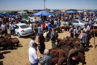 « میدان دواب بناب » در آستانه عید قربان