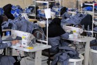 ۲۸۴۴ مددجوی آذربایجان شرقی صاحب شغل شدند ۲۸۴۴ مددجوی آذربایجان شرقی صاحب شغل شدند