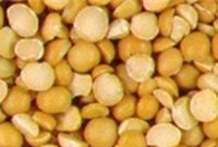 تولید ۹۹ درصد لپه مورد نیاز کشور در ۲۰۰ کارگاه آذرشهر