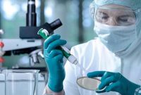 شبکه آزمایشگاهی بهداشت و درمان تجمیع می‌شود