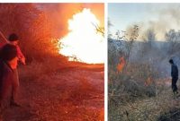 مهار آتش در جنگل‌های دیزمار