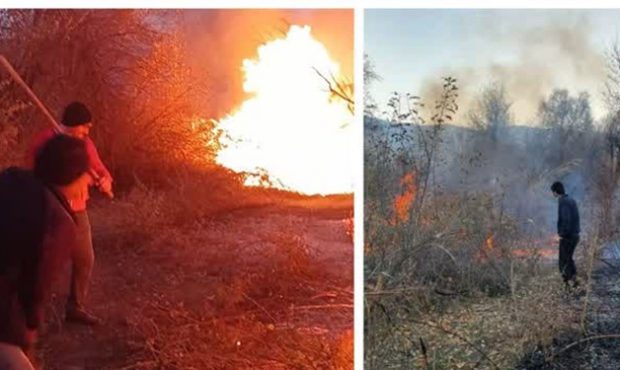 مهار آتش در جنگل‌های دیزمار