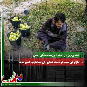 ۱۰۰ هزار تن سیب در دست کشاورزان شمالغرب کشور ماند