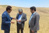 پیش بینی پرداخت ۱۳۰ هزار میلیارد ریال غرامت به بخش زراعت گندم کشور