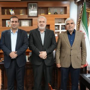 منطقه آزاد ارس ظرفیت ها و پتانسیل های مهمی در حوزه انرژی دارد